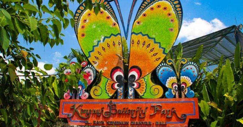 Tripadvisor.co.id/Taman Kupu-Kupu Bali